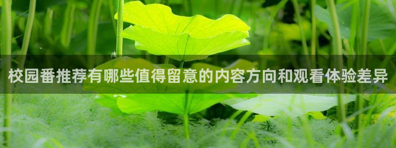 经典动画