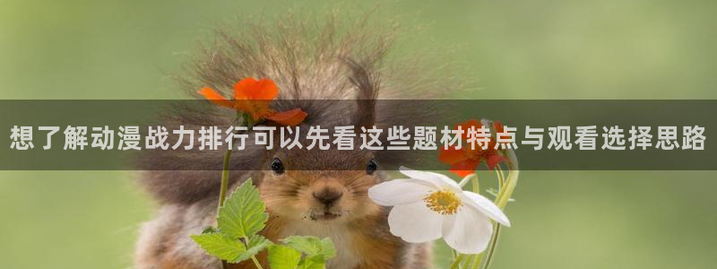 最新动漫大全