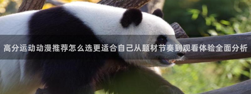 日本动漫排行