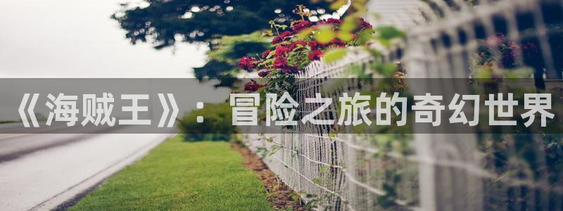 动漫排行榜