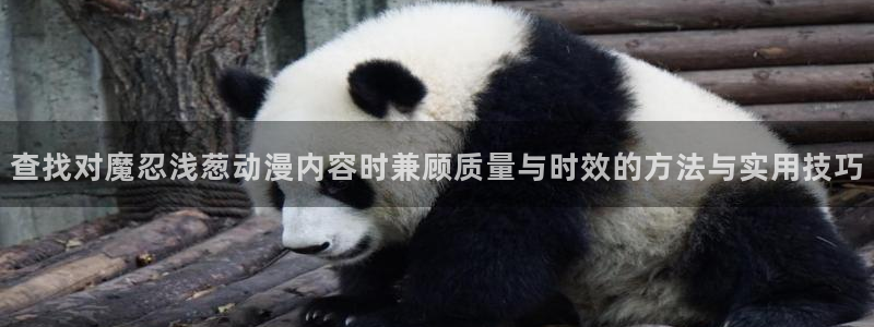 欧美动漫推荐