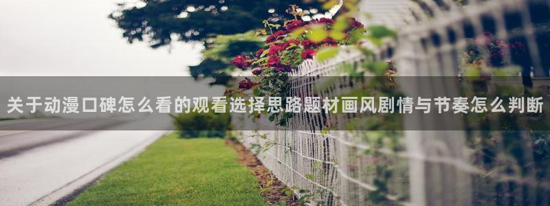 动漫评分榜