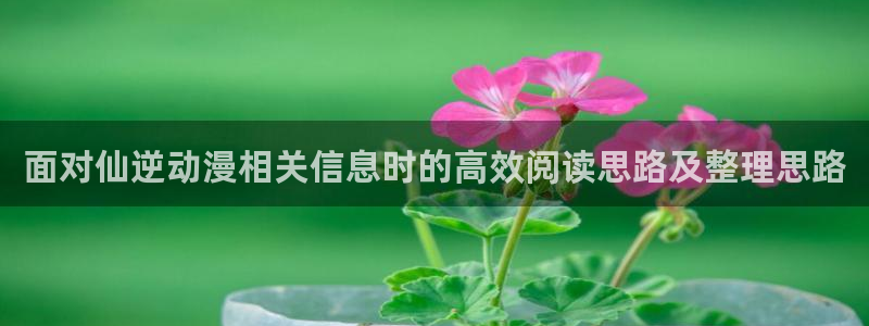动漫作品搜索