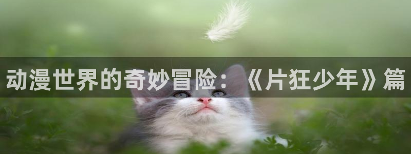 动漫网址大全