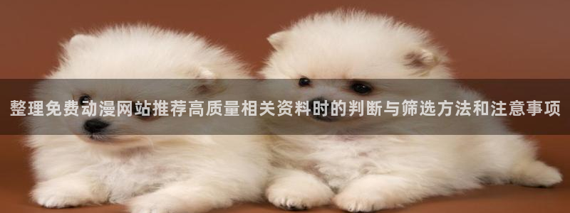 动漫网页导航