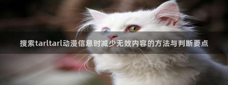 动漫剧情介绍
