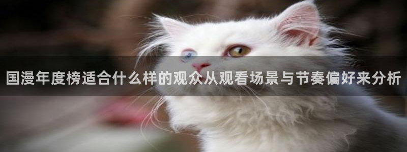 运动动漫推荐