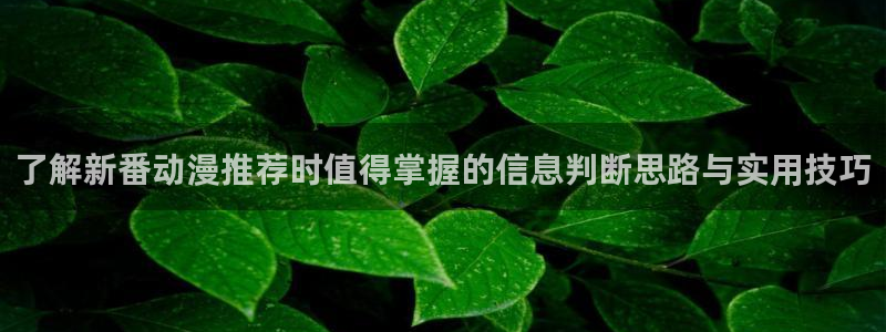 热门动漫推荐