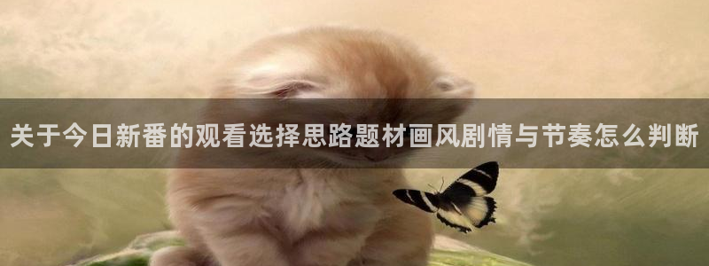 动漫在线观看