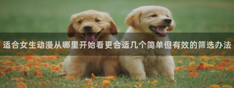 动漫网入口页面