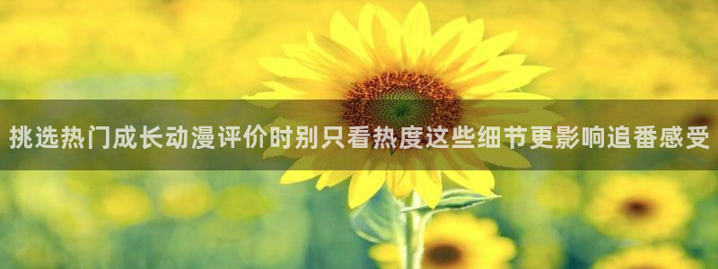 动漫每日推荐