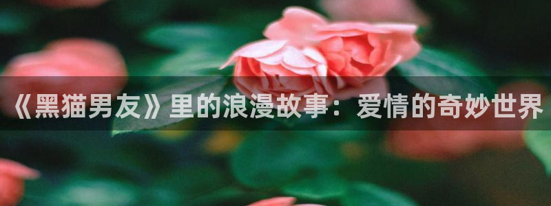 连载动画